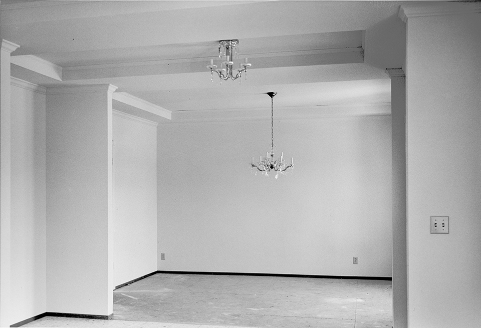 Living Room and Dining Room Options
