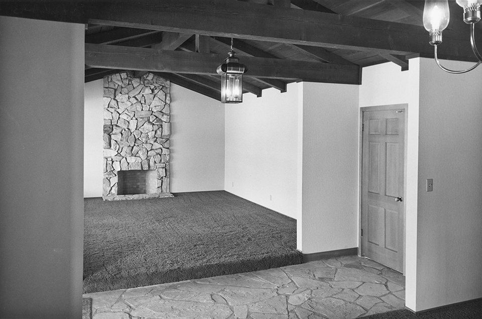 Living Room and Dining Room Options