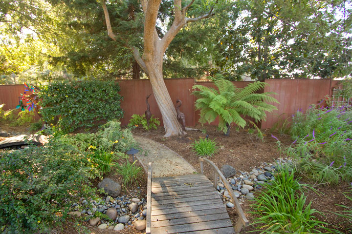bridge in Backyard