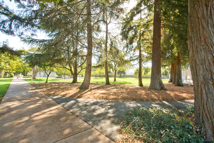 Cooper Park 8