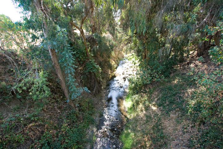 Trail 9