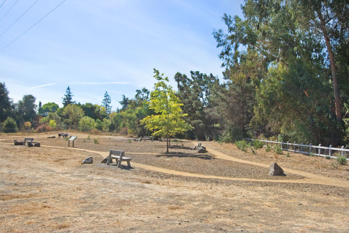 Trail 6